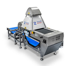 S60B optical sorting system from Multiscan