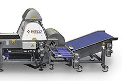 360Tek optical sorter for blueberries from WECO