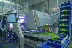 La Huerta's VERYX optical sorter from Key Technology