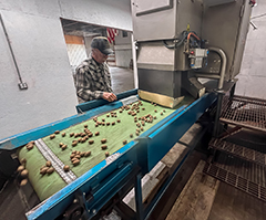 WECO's MXV-Bulk x-ray inspection system for nuts at Payne's Pecans